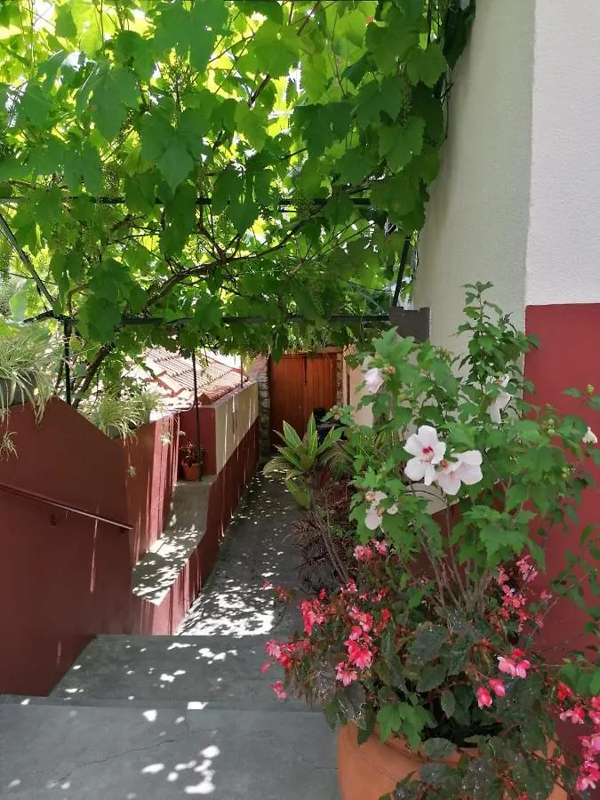 Casa Do Pescador Villa Machico  Holiday home