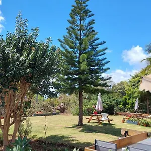  Apartamento Viewpoint Machico - Lovely Nature View